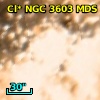 Cl* NGC 3603    MDS      16