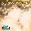 Cl* NGC 3603    MDS      33