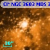 Cl* NGC 3603    MDS      36