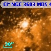 Cl* NGC 3603    MDS      41