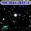 TYC 3613-2677-1