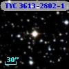 TYC 3613-2802-1