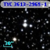 TYC 3613-2968-1
