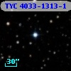 TYC 4033-1313-1