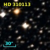 HD 310113