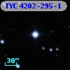TYC 4202-295-1