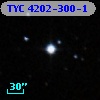 TYC 4202-300-1
