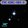 TYC 4202-565-1