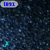 [B91] 10