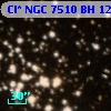 Cl* NGC 7510     BH      12