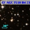 Cl* NGC 7510     BH      23