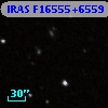 IRAS F16555+6559