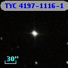 TYC 4197-1116-1