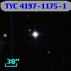 TYC 4197-1175-1