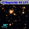 Cl Ruprecht   44   173