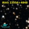 V* V445 Lac