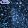 Bruck  85