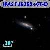 IRAS F16368+6743
