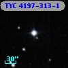 TYC 4197-313-1