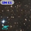 SIM  61