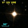 V* UV UMi
