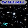 TYC 3613-901-1