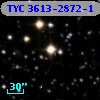 TYC 3613-2872-1