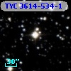 TYC 3614-534-1