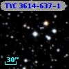 TYC 3614-637-1