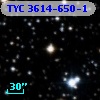 TYC 3614-650-1