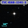 TYC 4560-1341-1