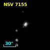 NSV  7155