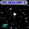 TYC 3614-988-1