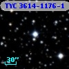 TYC 3614-1176-1