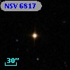 NSV  6817