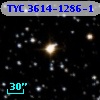 TYC 3614-1286-1