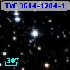 TYC 3614-1704-1