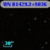 WN B1429.3+8036