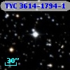 TYC 3614-1794-1