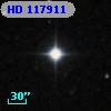 HD 117911