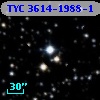 TYC 3614-1988-1