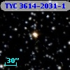 TYC 3614-2031-1