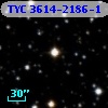 TYC 3614-2186-1