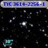 TYC 3614-2256-1