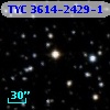 TYC 3614-2429-1