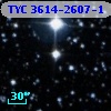 TYC 3614-2607-1