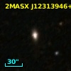 2MASX J12313946+8150081