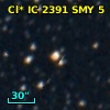 Cl* IC 2391    SMY       5