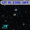 Cl* IC 2391    SMY      21
