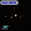 NSV  4979